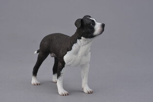 COLLECTA PIES AMERYKAŃSKI STAFFORDSHIRE TERRIER 4