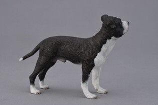 COLLECTA PIES AMERYKAŃSKI STAFFORDSHIRE TERRIER 5