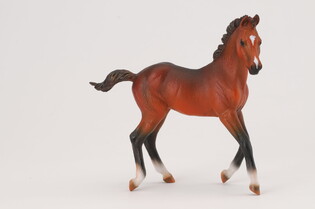 COLLECTA ŹREBIĘ RASY QUARTER MAŚCI BAY 4