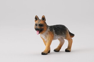 COLLECTA OWCZAREK ALZACKI SZCZENIAK 5