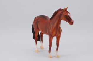 COLLECTA OGIER HANOWERSKI KASZTANOWATY 4