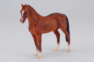 COLLECTA OGIER HANOWERSKI KASZTANOWATY 5