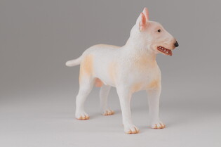 COLLECTA PIES RASY BULLTERIER 4
