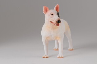 COLLECTA PIES RASY BULLTERIER 5