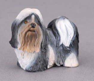 COLLECTA PIES RASY SHIH TZU 3