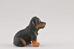 COLLECTA PIES RASY ROTTWEILER SZCZENIAK 5