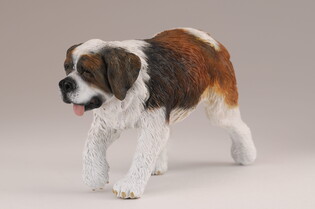 COLLECTA PIES BERNARDYN 3