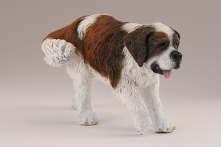 COLLECTA PIES BERNARDYN 5