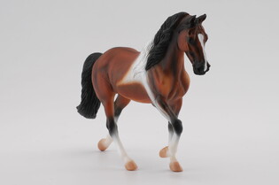 COLLECTA OGIER RASY PINTO BAY SPACERUJĄCY 3
