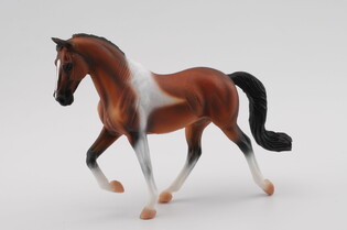 COLLECTA OGIER RASY PINTO BAY SPACERUJĄCY 4