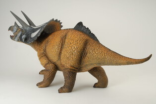 COLLECTA TRICERATOPS SKALA 1:15 W OPAKOWANIU 4