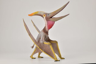 COLLECTA PTERANODON SKALA 1:15 3