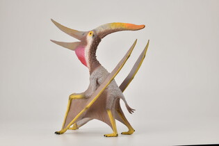COLLECTA PTERANODON SKALA 1:15 4