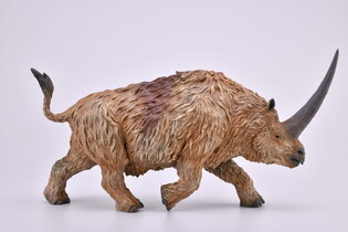 COLLECTA ELASMOTERIUM SKALA 1:20 (DELUXE) 4