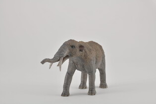 COLLECTA GOMPHATHERIUM SKALA 1:20 3