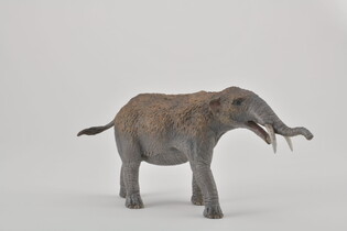COLLECTA GOMPHATHERIUM SKALA 1:20 4