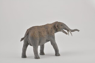 COLLECTA GOMPHATHERIUM SKALA 1:20 5