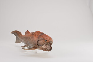 COLLECTA DUNKLEOSTEUS SKALA 1:20 (DELUXE) 3