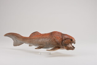 COLLECTA DUNKLEOSTEUS SKALA 1:20 (DELUXE) 4