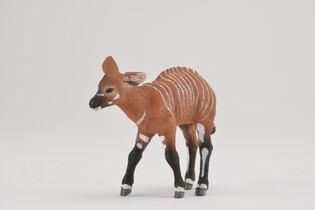COLLECTA KROWA BONGO 3