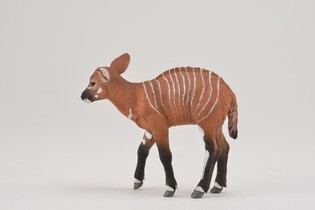 COLLECTA KROWA BONGO 5