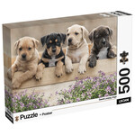LISCIANI PUZZLE ADULTS SZCZENIAKI 500 ELEMENTÓW