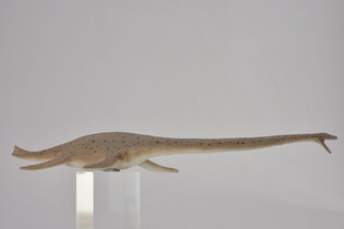 COLLECTA THALASSOMEDON SKALA 1:40 (DELUXE) 3