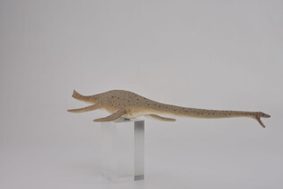 COLLECTA THALASSOMEDON SKALA 1:40 (DELUXE) 4