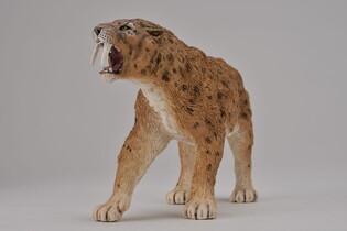 COLLECTA SMILODON 3