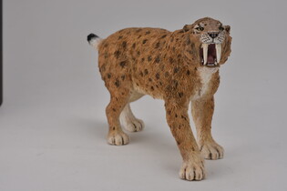 COLLECTA SMILODON 4