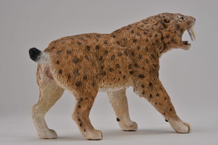 COLLECTA SMILODON 5