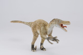 COLLECTA DINOZAUR WELOCIRAPTOR SKALA 1:16 (DELUXE). 4