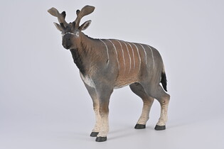 COLLECTA SIVATHERIUM - SKALA 1:20 (DELUXE)
 2