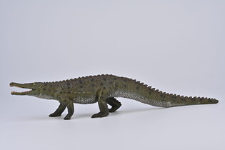 COLLECTA COLOSSOSUCHUS TECHNIENSIS  Z RUSZAJĄCĄ SIĘ SZCZĘKĄ - SKALA 1:40 (DELUXE)
 2