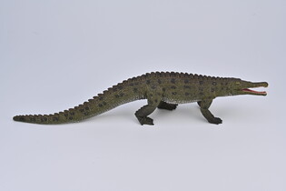 COLLECTA COLOSSOSUCHUS TECHNIENSIS  Z RUSZAJĄCĄ SIĘ SZCZĘKĄ - SKALA 1:40 (DELUXE)
 5