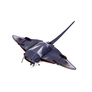 CUBIC FUN NATIONAL GEOGRAPHIC MANTA 2